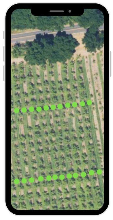 Green Status App